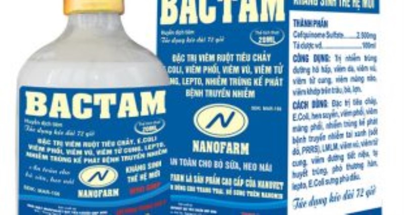 Bactam - LA - Công Ty Cổ Phần Nanovet